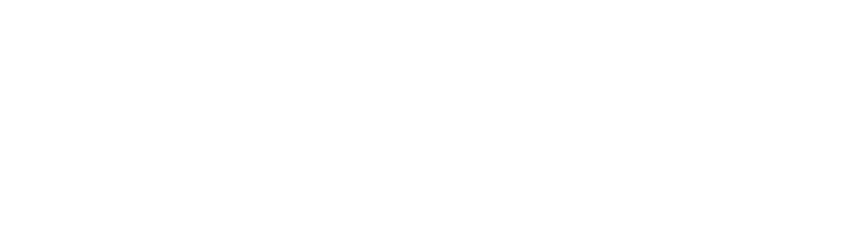 LOGO-TOTO4D
